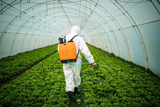 Best Commercial Pest Control Services  in Carter Lake, IA