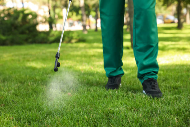 Best Pest Prevention Services  in Carter Lake, IA