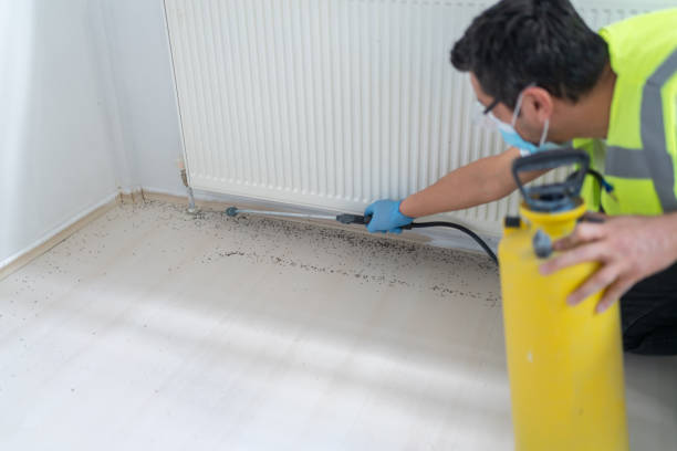 Trusted Carter Lake, IA Pest Control Experts